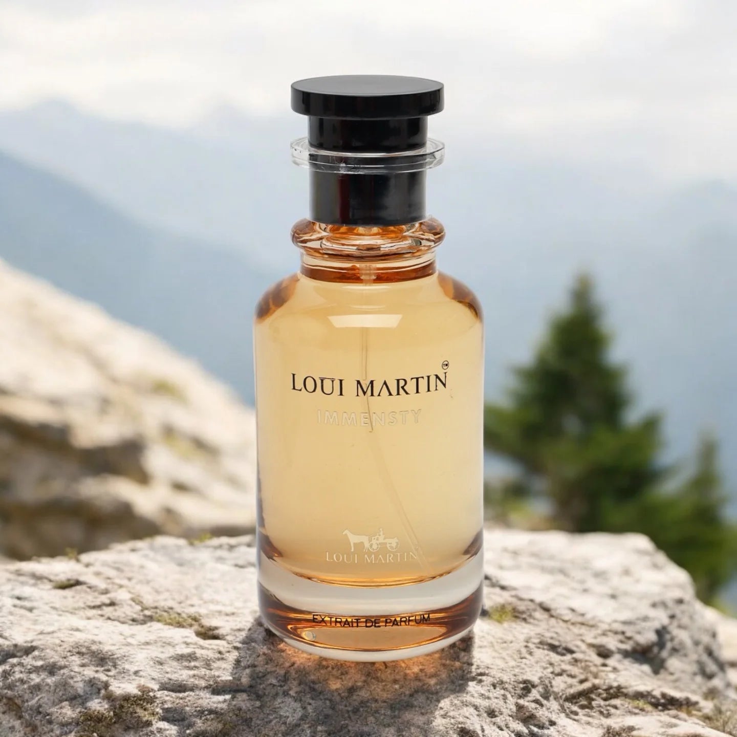 Loui Martin - Immensty