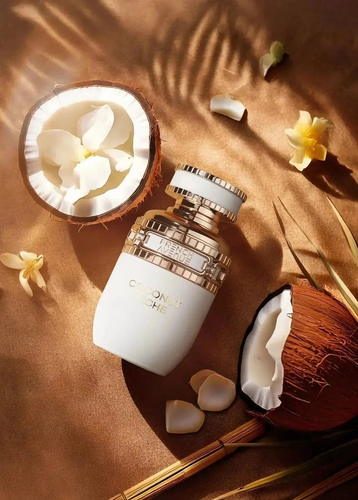 French Avenue - Coconut Leche