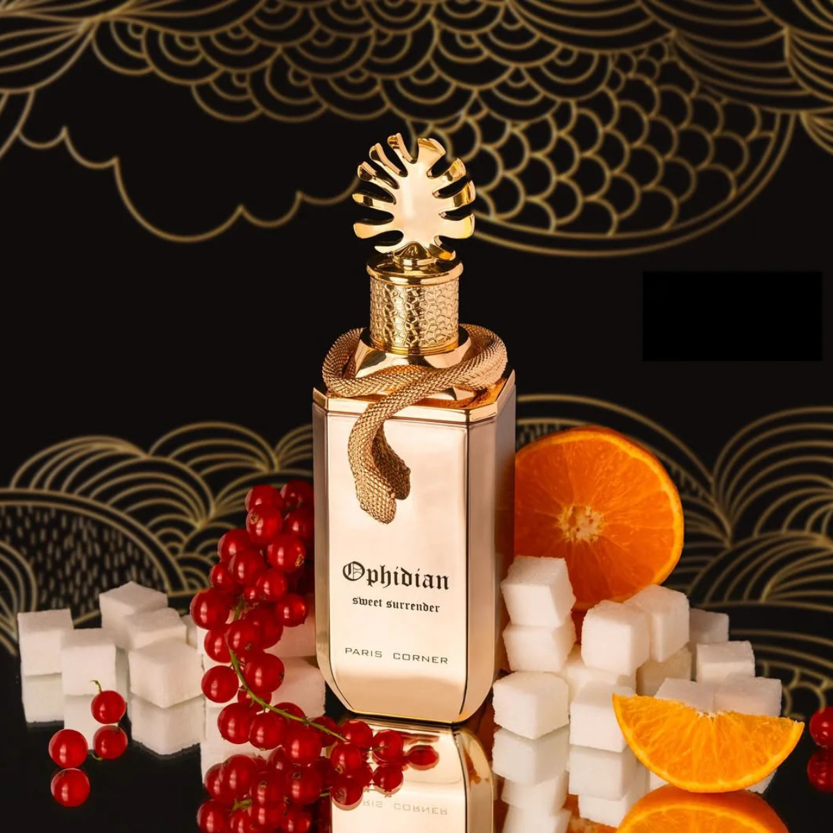 Paris Corner - Ophidian - Sweet Surrender