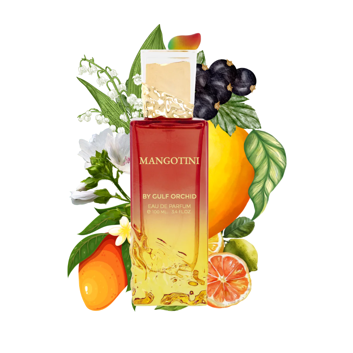 Gulf Orchid - Mangotini