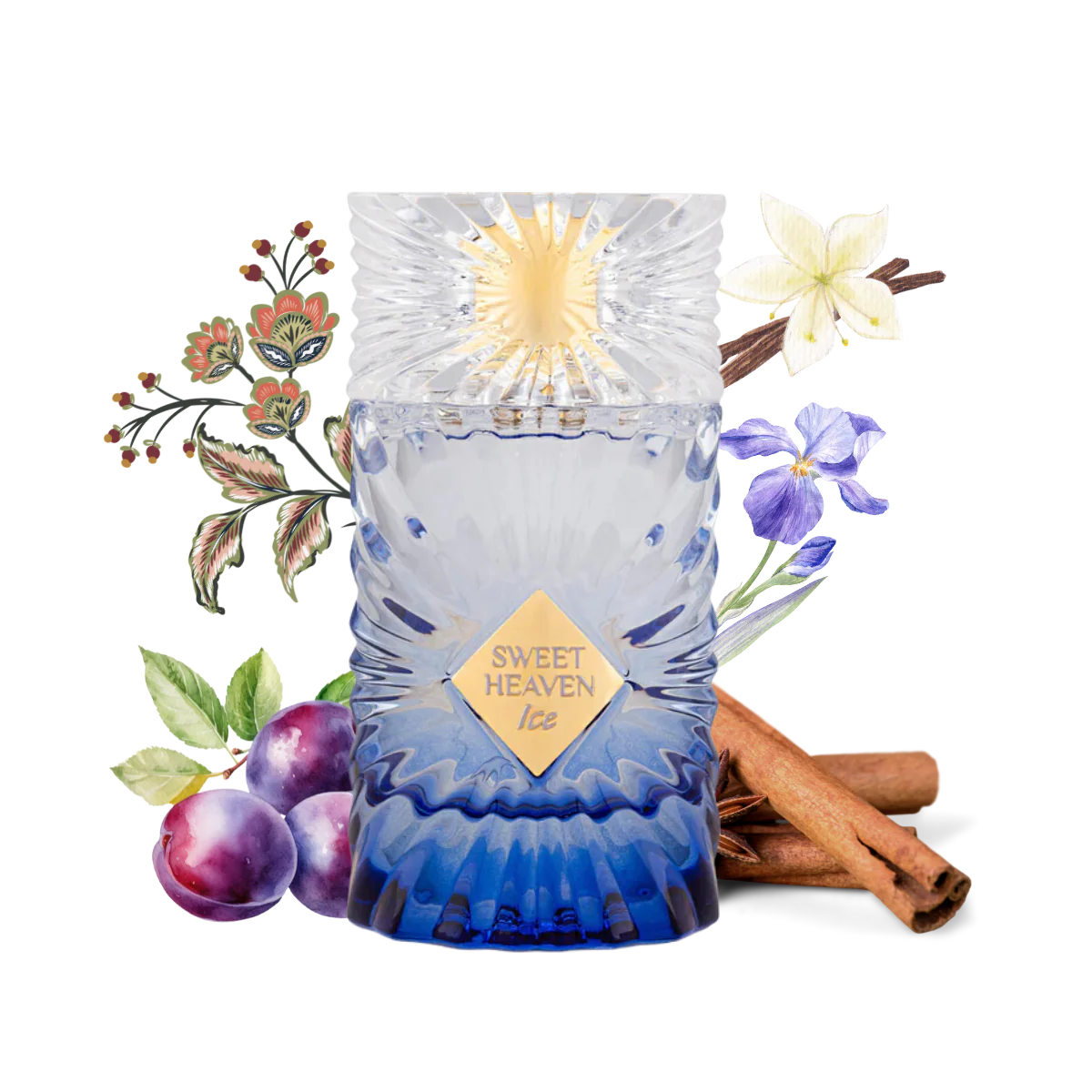 Gulf Orchid - Sweet Heaven Ice