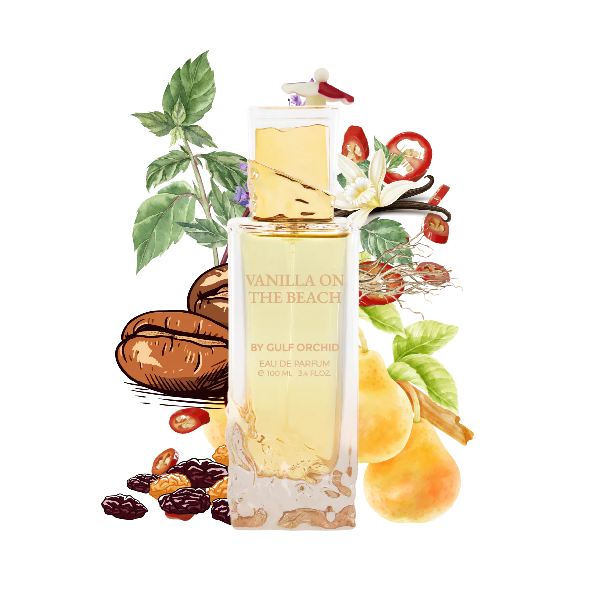 Gulf Orchid - Vanilla on the beach