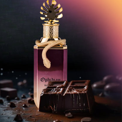 Paris Corner - Ophidian - Black cherry