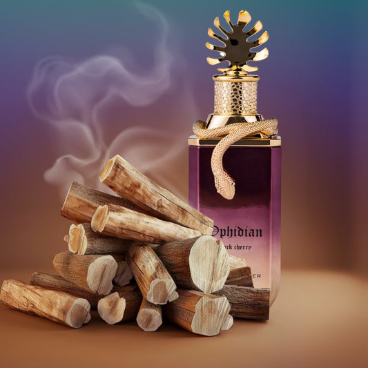 Paris Corner - Ophidian - Black cherry